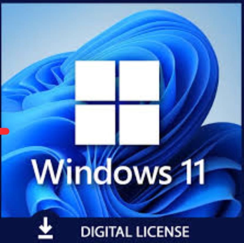 MICROSOFT Windows 11 Professional OEM,1 PC,Lifetime Validity